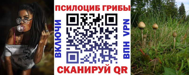 Купить где Сим Галлюциногенные грибы мицелий